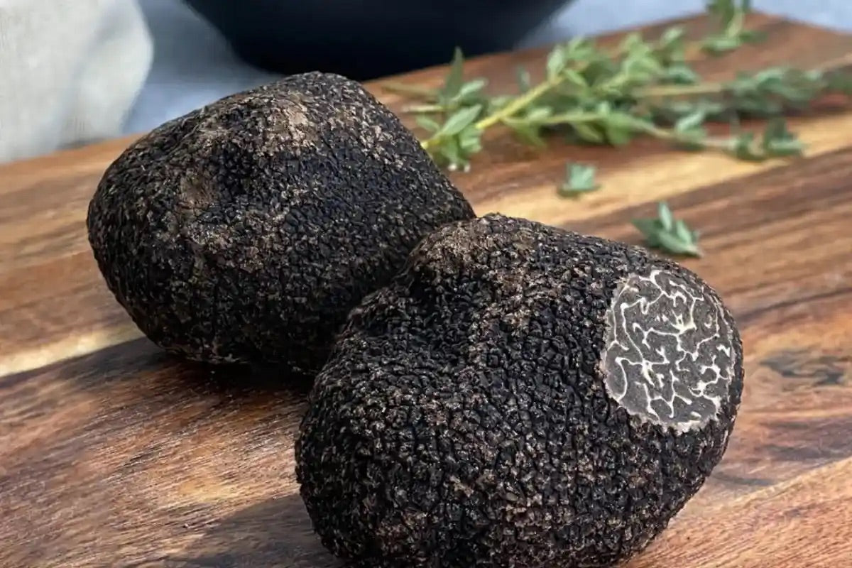 Hierarchy Of Truffles: Not All Truffles Are Created Equal