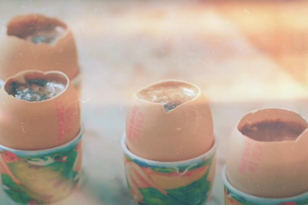 Truffle Egg