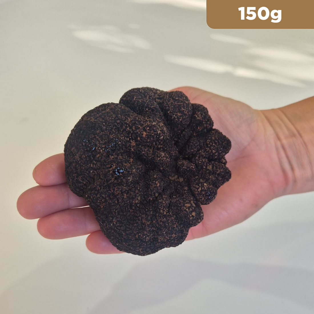 Truffle of the Week - Icon Class