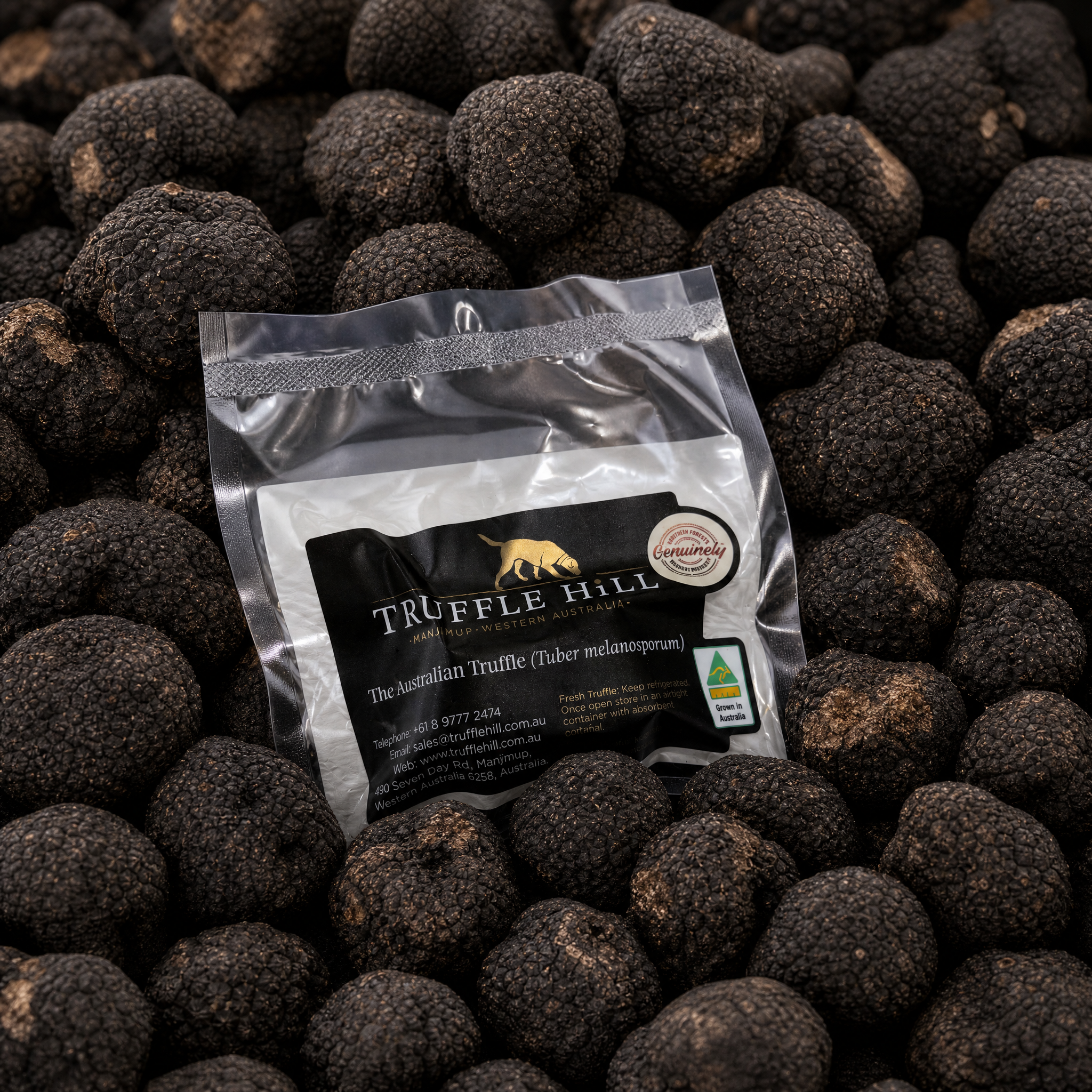 Fresh Black Périgord Truffles