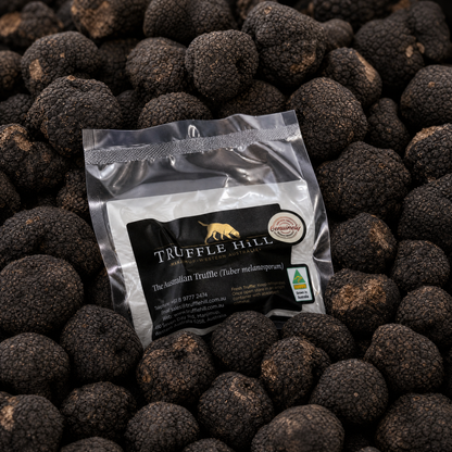 Fresh Black Périgord Truffles