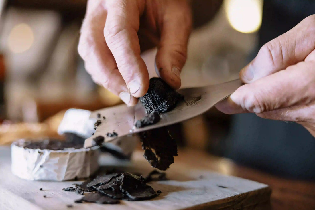 Fresh Black Périgord Truffles